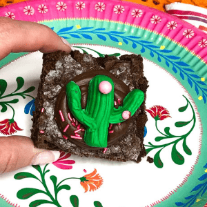 Fondant cactus on a brownie from Ever After in the Woods.
