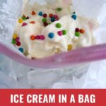 15 minute ice cream in a ziploc bag topped with sprinkles.