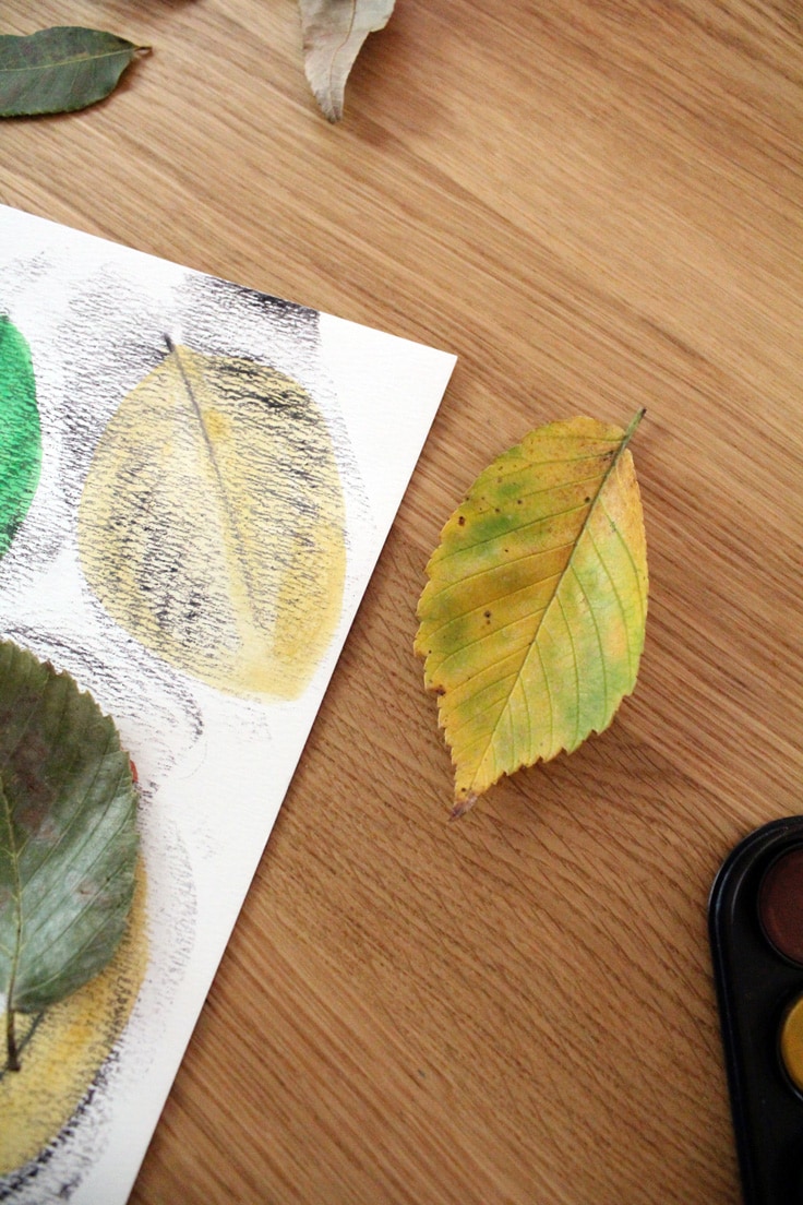 A green and yellow leaf beside a crayon and watercolor drawing that looks similar in shape.