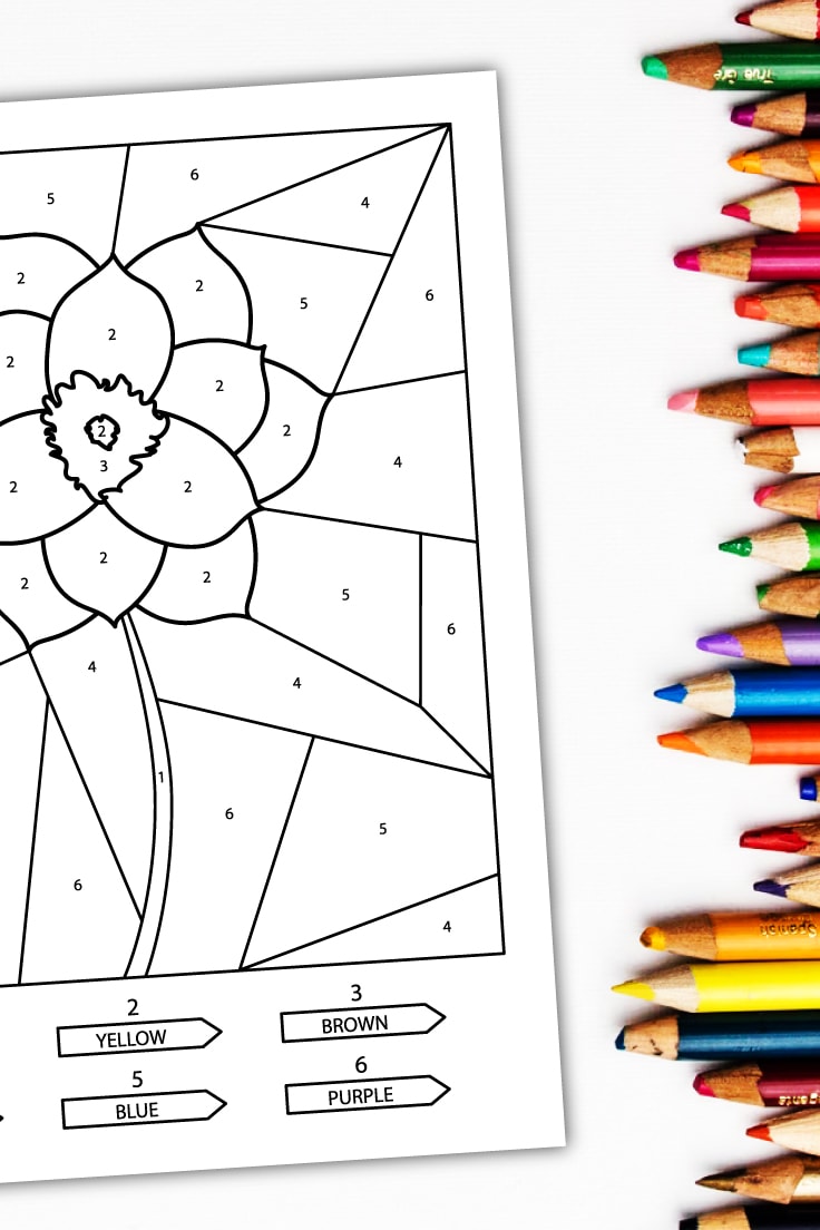 Preview of flower coloring page on white background with row of colored pencils on the right.