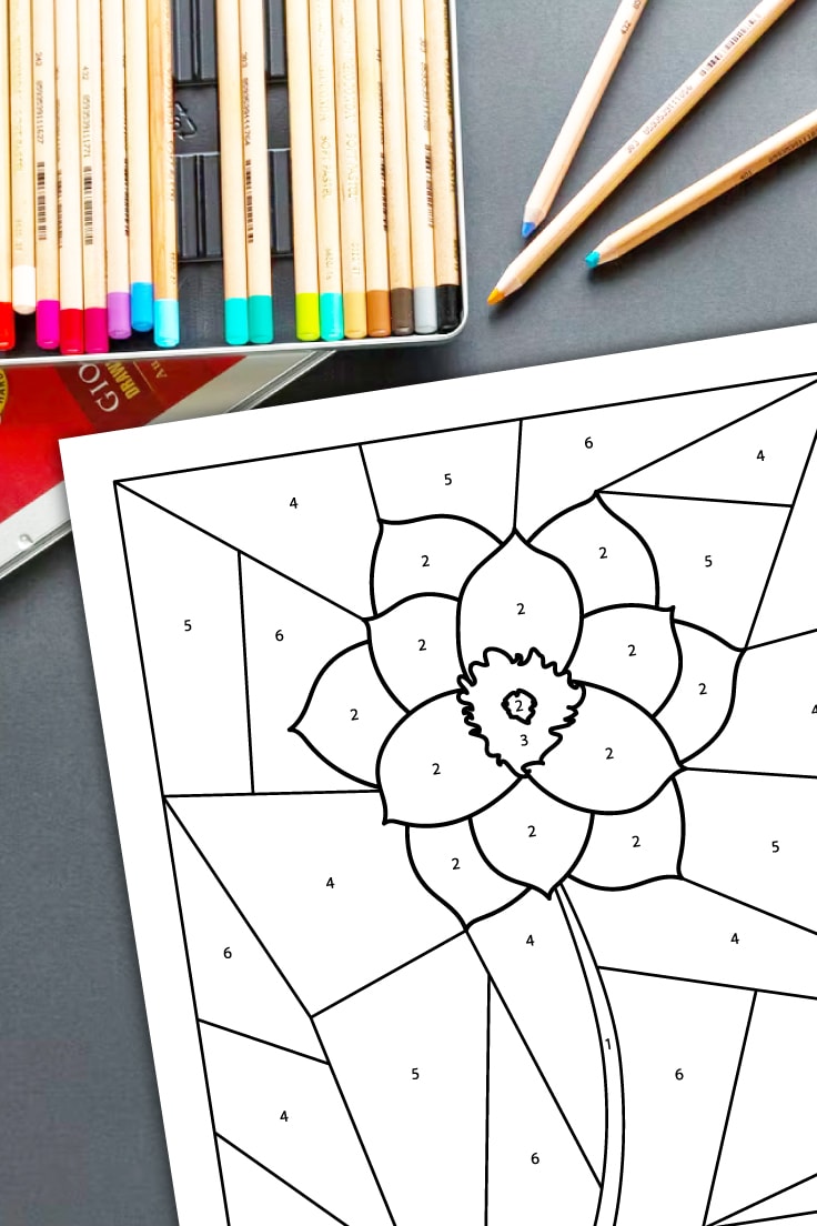 Set of colored pencils on black background with preview of flower color by number printable.