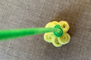 Spiraling the extra green pipe cleaner to make a flower base.