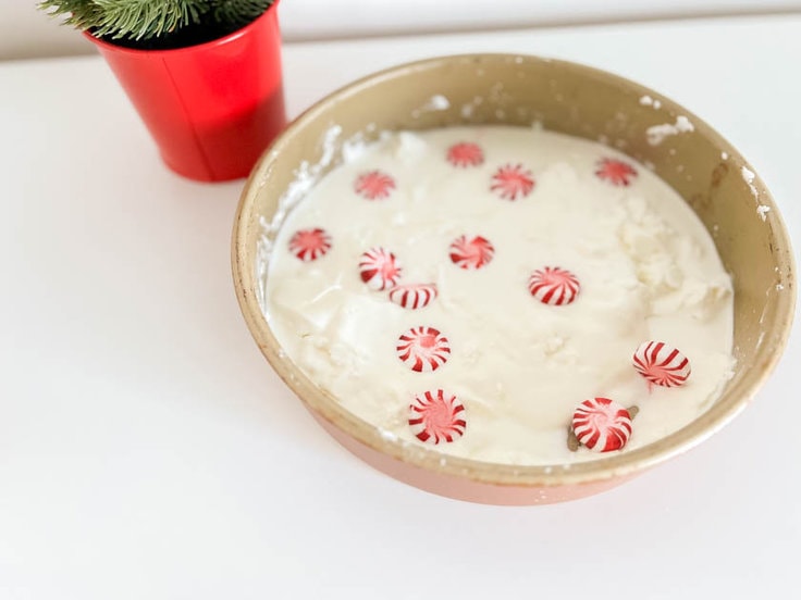 White oobleck slime covered with peppermint candies, in a round cake pan with a mini Christmas tree in the background