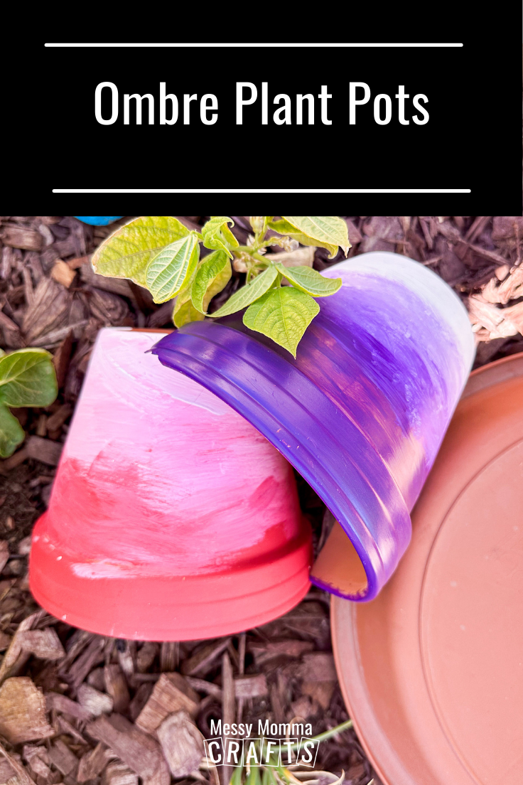 2 ombre plant pots in a planter bed