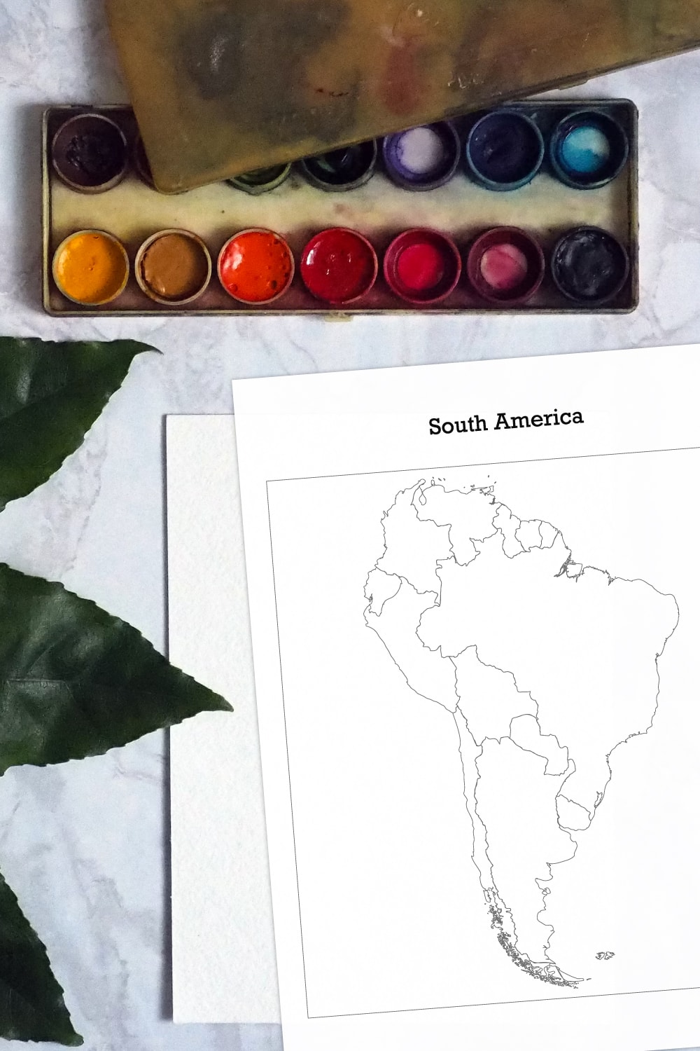 Preview of blank map of South America on marble desk with plant leaves on the left and watercolor palette on top.