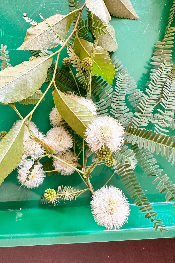 Close up of flowers and leaves on a green tray