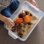 A Thanksgiving sensory bin filled with brown rice and plastic gourds, pumpkins and pinecones