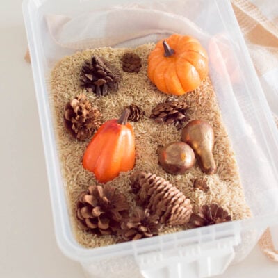 A Thanksgiving sensory bin filled with brown rice and plastic gourds, pumpkins and pinecones