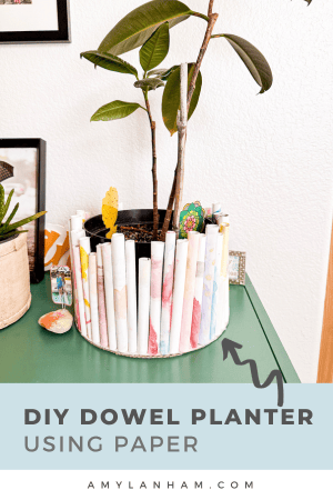 dowel planter using paper, a rubber tree is planted in the pot