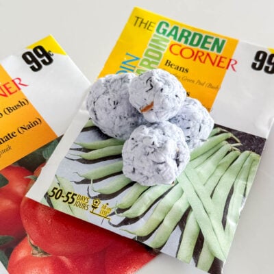 Seed bombs sitting on a white plate with additional seed packets underneath