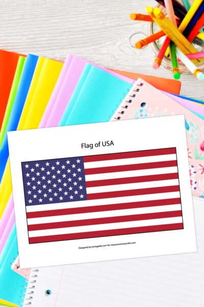 Printable Flag of USA - Messy Momma Crafts